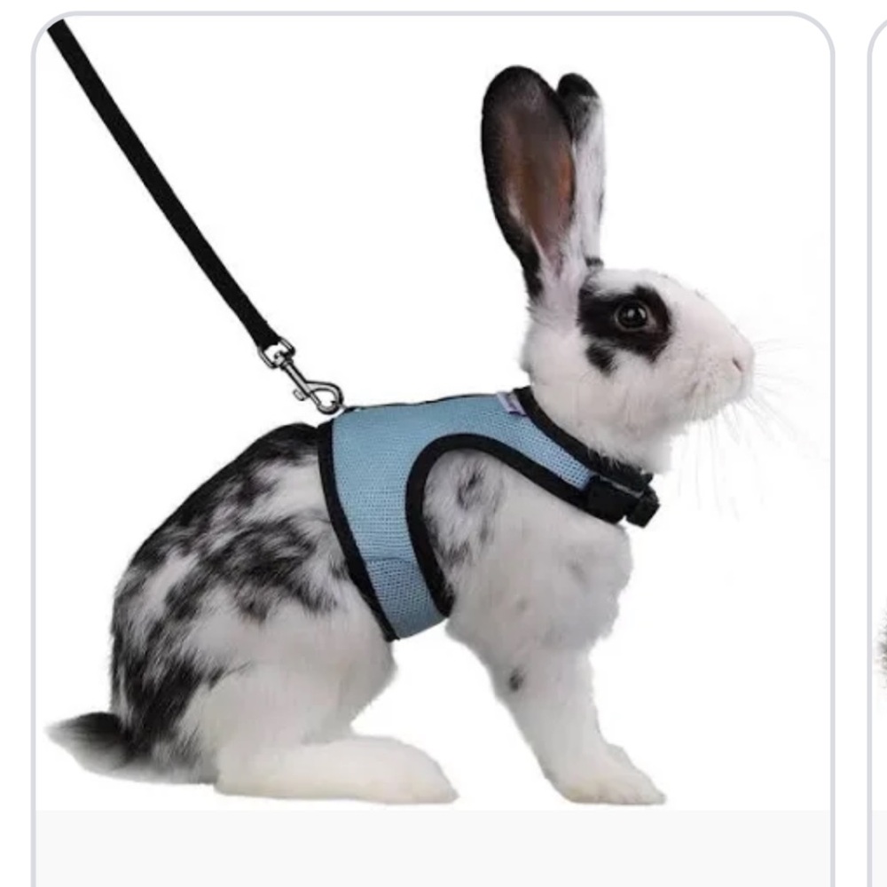 Niteangel Adjustable Soft Harness for Pets